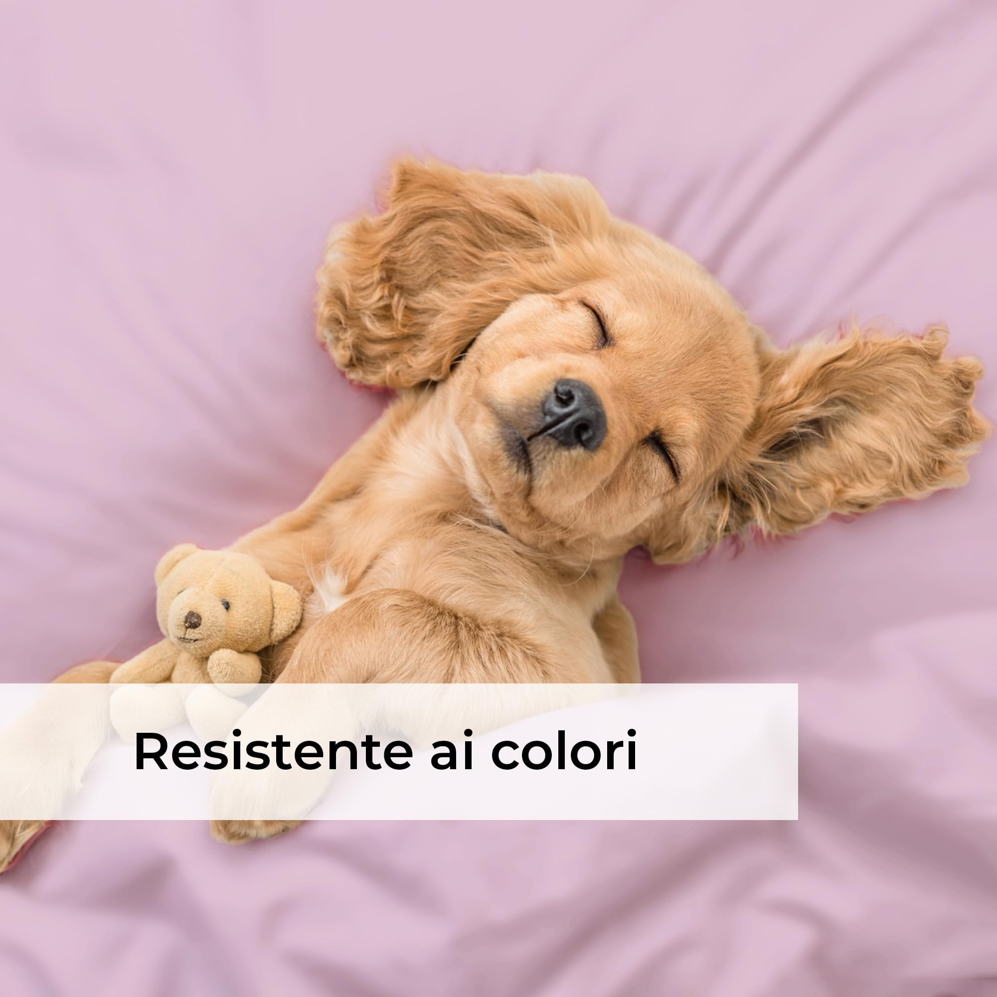 Lenzuolo con angoli 180x200 Rosa chiaro 40 cm profondità - Lussuoso lenzuolo - Per letti a molle - Per materassi fino a 40 cm di altezza - Morbido, senza pieghe e traspirante - Confezione singola