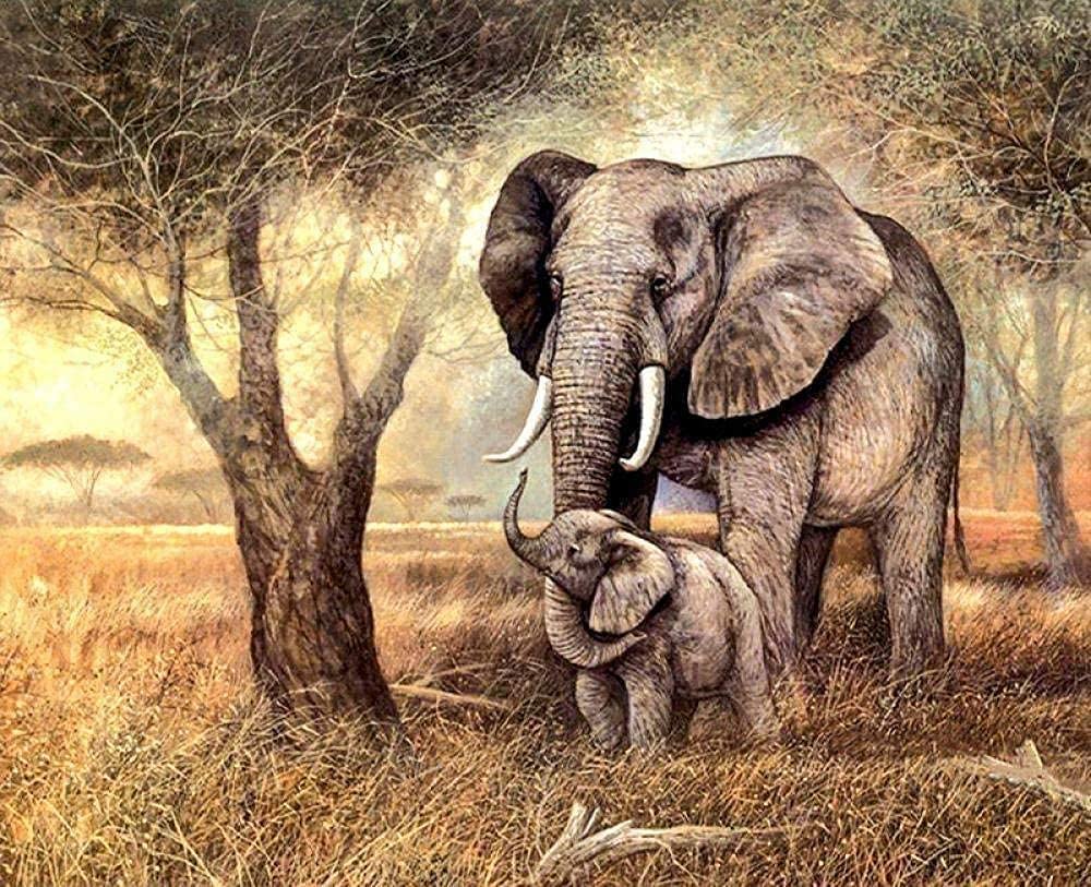 YHX926 Cross Stitch Kits for Beginners,Forest Elephant,11CT Stamped 3 Strands Cross Stitch Kits for Adults,Embroidery Starter Kits for Children,16x20 inch