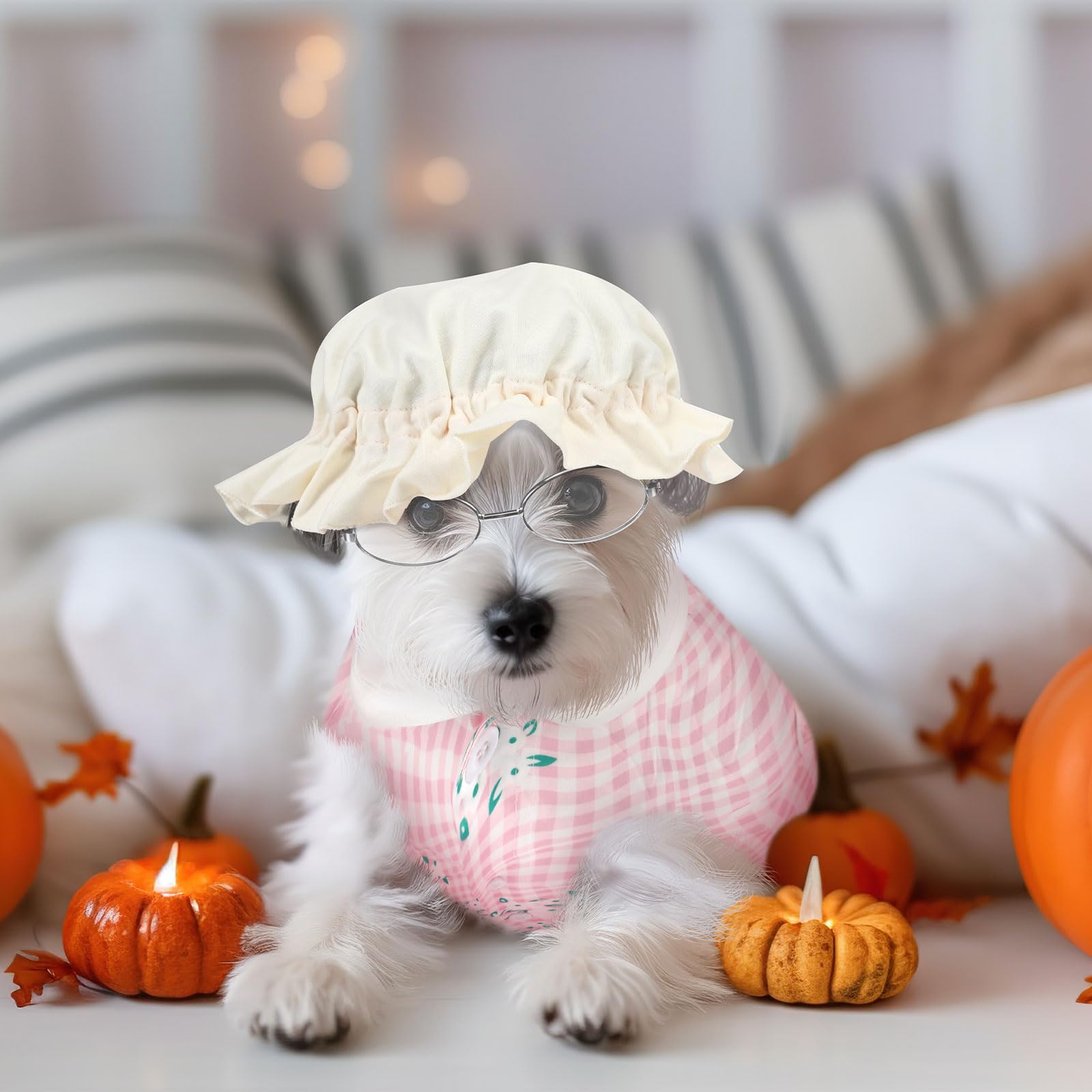 Amazon.com : Sweetude 4 Pieces Old Lady Costume for Dog Grandma Dogs Costume  with Pink Floral Dog Dress Old Lady Pets Wig Funny Dog Cat Retro Sunglasses  Lace Sunbonnet for Halloween Riding