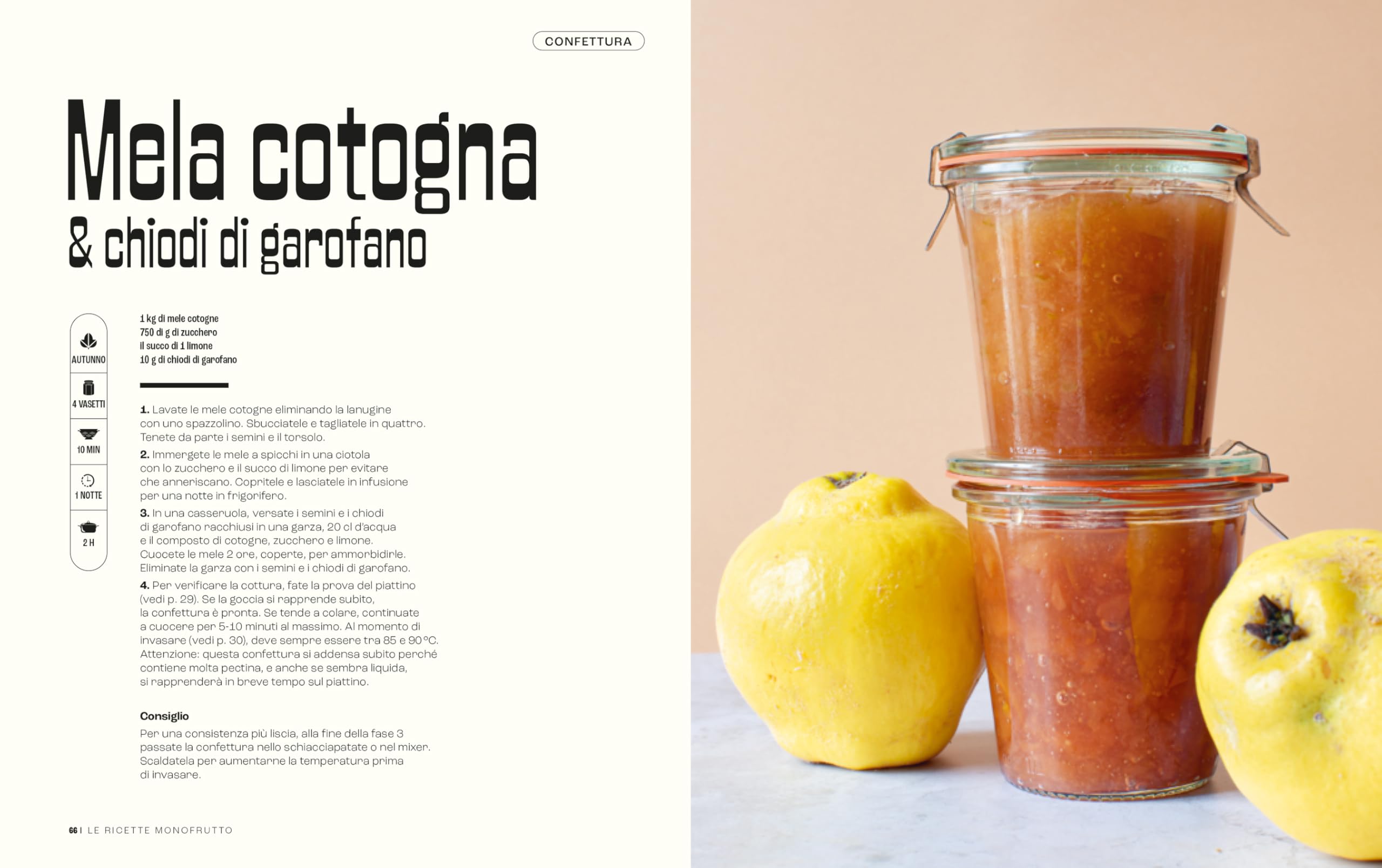 La bibbia della confettura. 170 ricette di confetture, marmellate, gelatine e chutney. Ediz. a colori