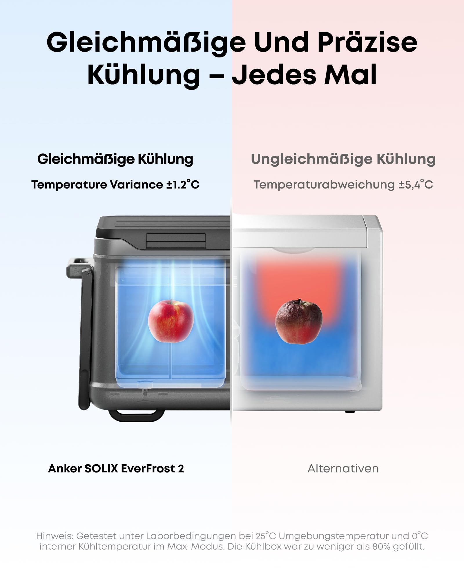 Anker SOLIX EverFrost 2 58L Akku-Kühlbox, 288Wh, -20℃ bis 20℃, Camping Reisen Angeln