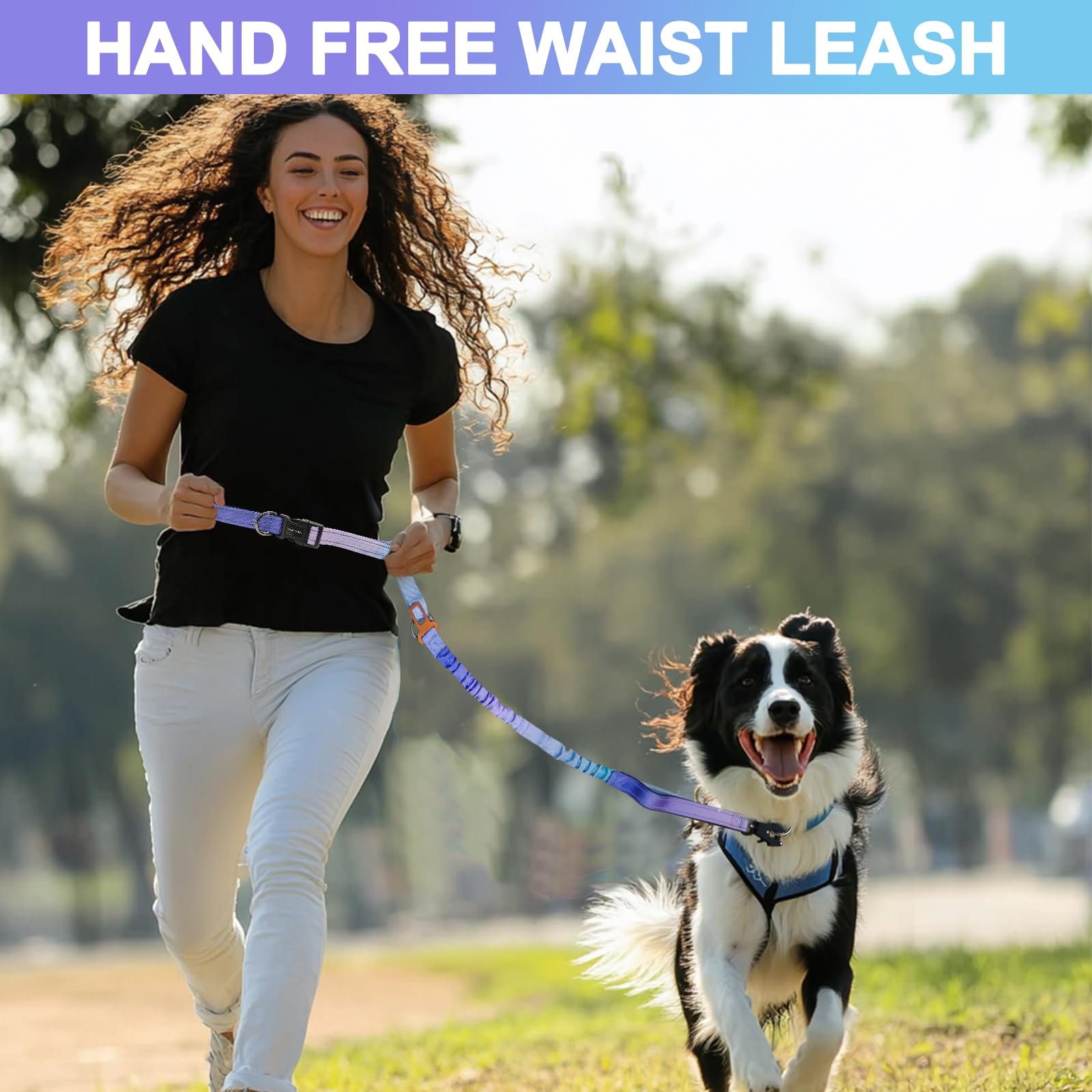 Guinzaglio per cani resistente con moschettone a sgancio rapido e guinzaglio elastico regolabile senza tirare, per passeggiate e addestramento, con cintura di sicurezza per auto, 1,2 - 1,8 m (viola