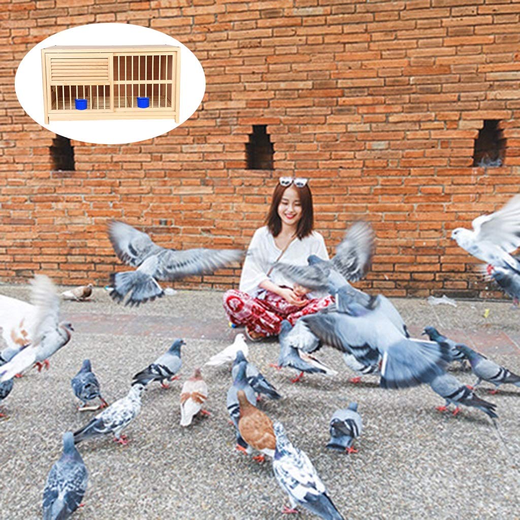 Casas para pájaros Palomas de Carreras Nido de Paloma para el hogar Caja Nido de Madera Maciza Paloma emparejada con Bandeja para Huevos Diseño de obturador Jaula Suministros para Palomas Perno de Pu