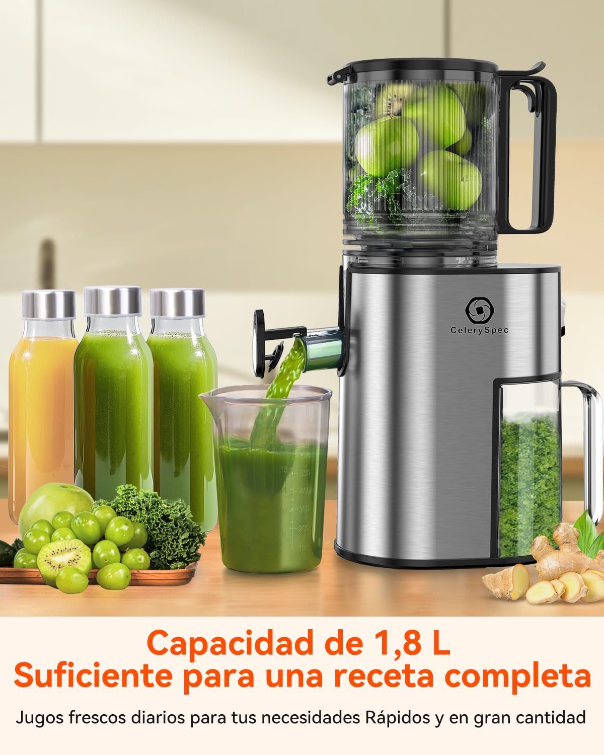 Extractor de Jugos de Frutas y Verduras, Prensado en Frío con Calibre de 130mm, Slow Juicer de 250W, Capacidad de 1,8L, Sin BPA, Fácil de Limpiar, Acero Inoxidable