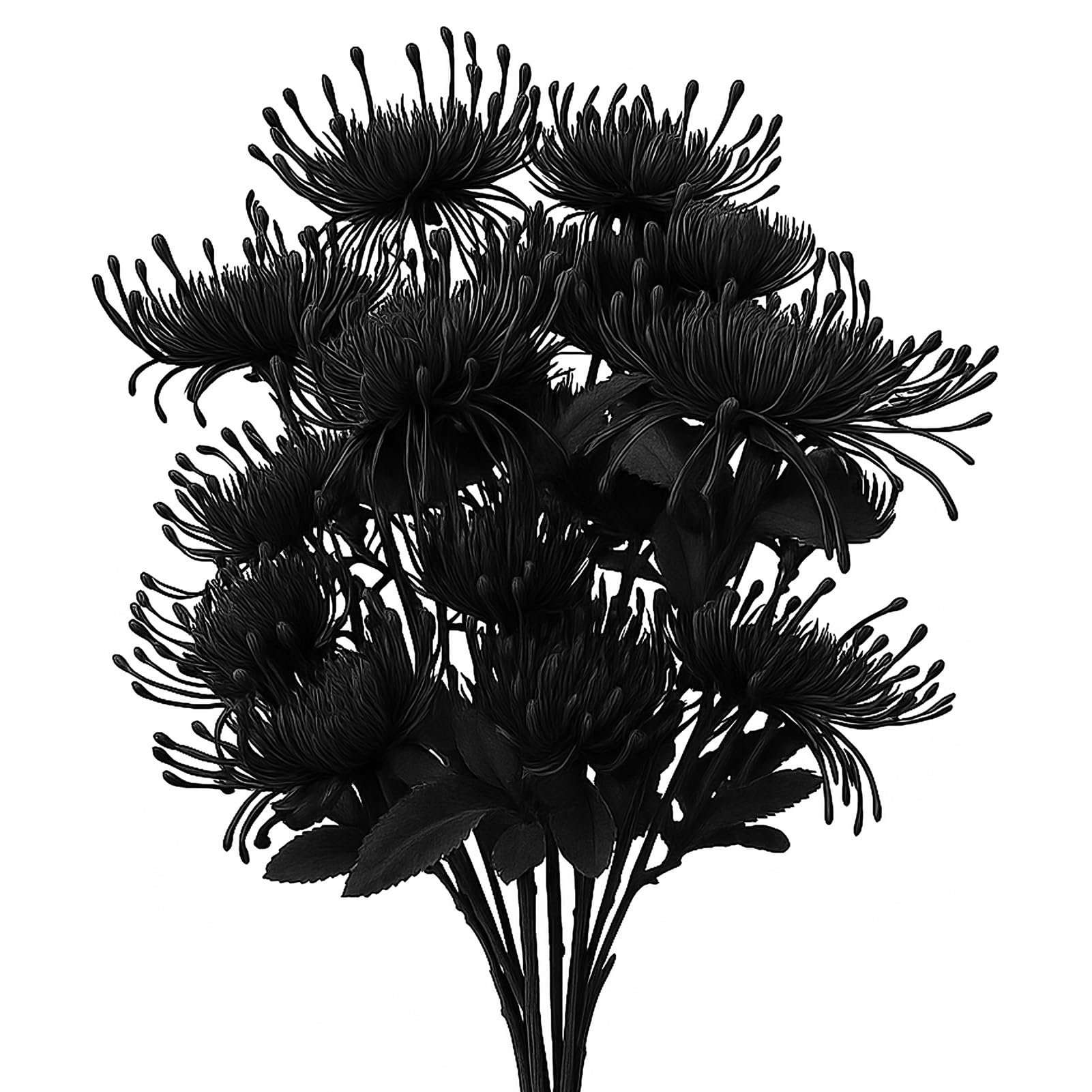 saerryor 6 Pcs Black Large Artificial Chrysanthemum Flowers, 18 Flower Head with 66cm Long Stem, Faux Spider Mum Flowers for Wedding Flora, Halloween & Home Decor