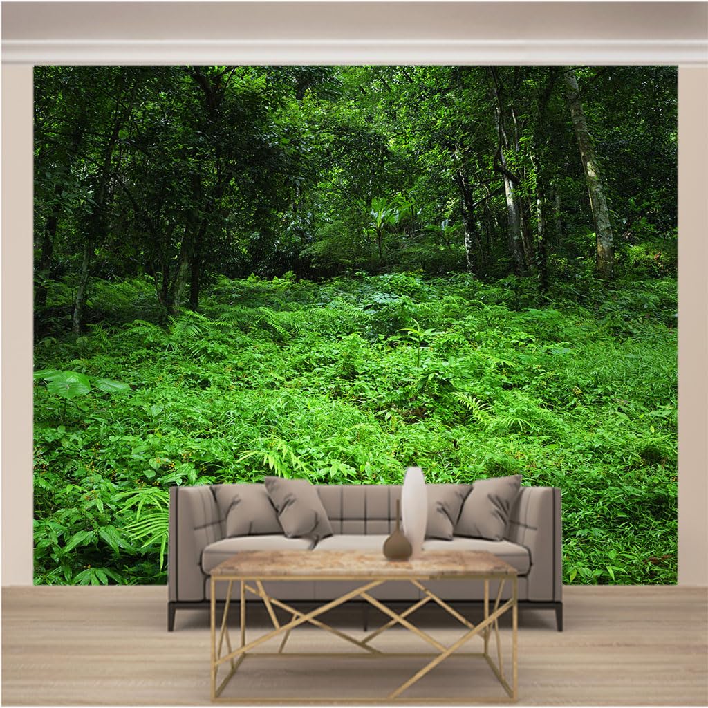 Papier peint intissé masquant défauts muraux 3D relief paysage forêt verte salon