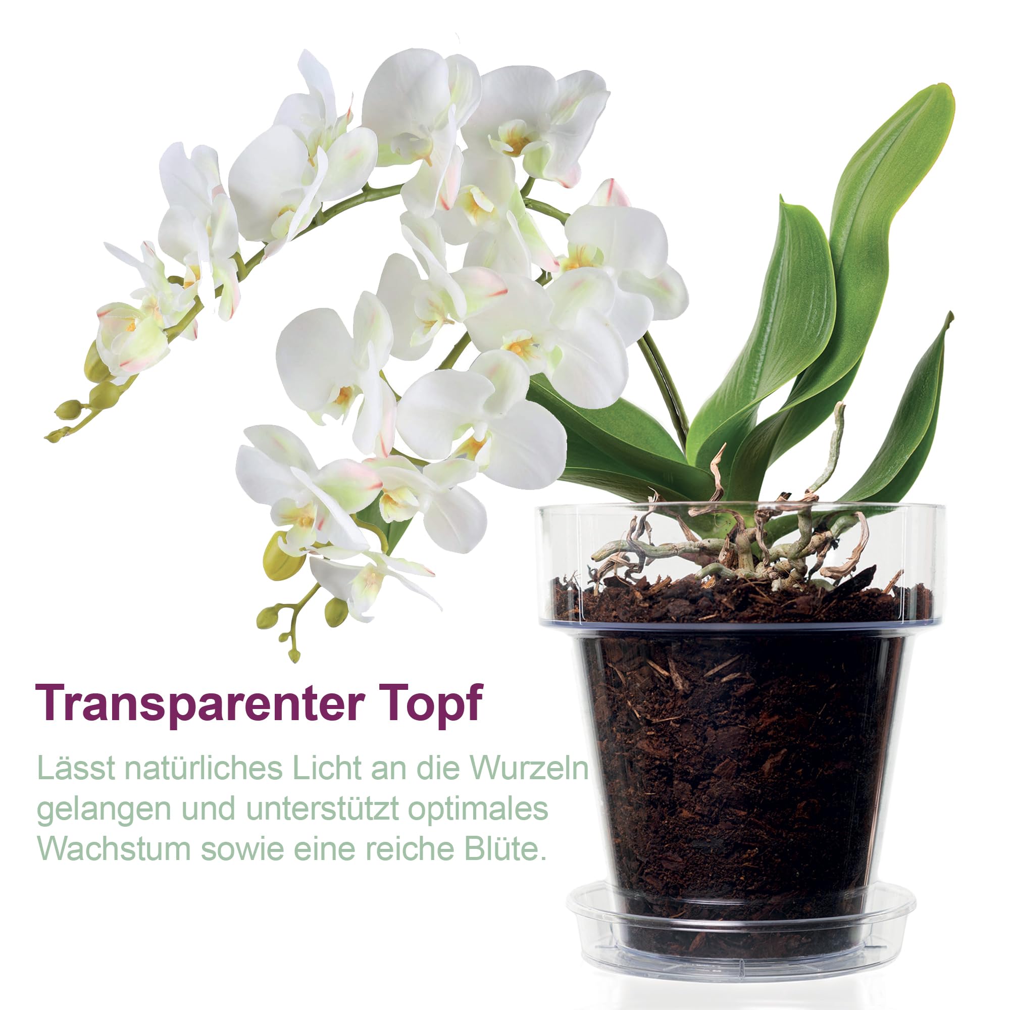 Kalapanta Orchideen-Umtopfset: Durchsichtiger Blumentopf mit Drainagelöchern, Untertasse und Orchideensubstrat - Ø 16 cm - 1