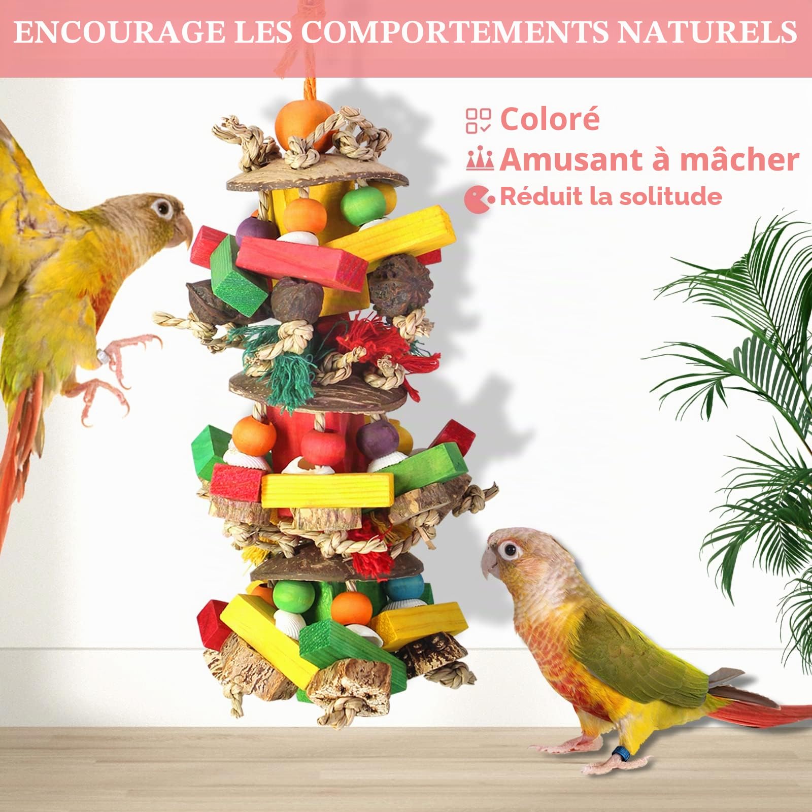Jouets pour perroquets Jouets pour perruches et Accessoires, Jouets à mâcher pour Oiseaux avec Noix Naturelles, Jouets de Cockatiel Blocs en Bois colorés pour perruches Gris d'Afrique Amazone Mini