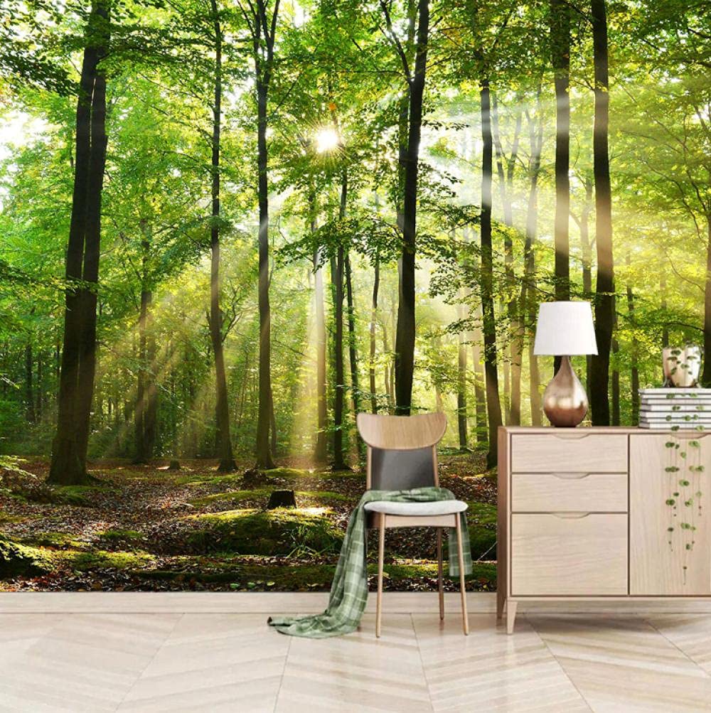 Fototapete Wald Im Mondschein 250x175cm - 3D Vliestapete Für Wohnzimmer