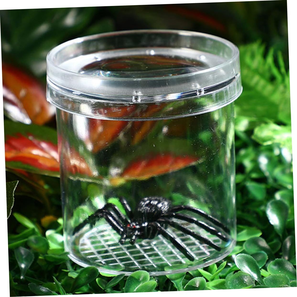 TOYANDONA 9 piezas Caja para Insectos Portátil con Contenedores Multiusos para Observar y Criar Insectos Caja Plástica y Educativa para Exteriores