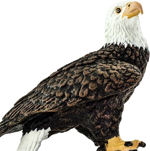 Miniatura 5 de Safari Ltd. Figura de águila calva, figura realista de pájaro de 2.4 pulgadas, juguete educativo para niños, niñas y niños a partir de 3 años