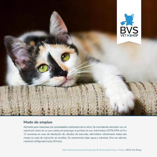Foto 3 de 8 de BVS Vet Shop