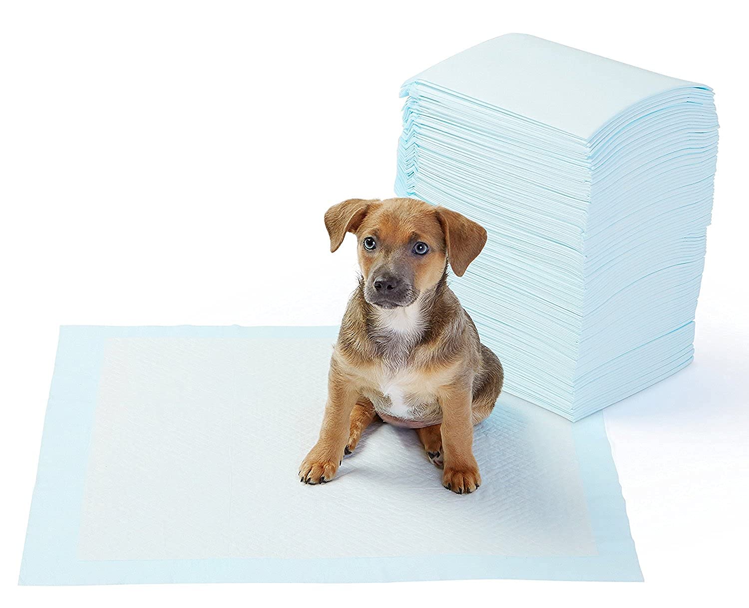 RvPaws Puppy Training Pad, Pee Pad Ideal for House Breaking and Potty Training Pads for Dog Size 60x45 30p (B0963JZVHR) Amazon Price History, Amazon Price Tracker