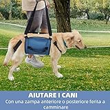 CUEMOON Hundetragegurt,Blau Notfallrucksack Unterstützung für Rehabilitation Hundelift Geschirr, Hundeträger für ältere Hunde Gelenkverletzungen, XXL