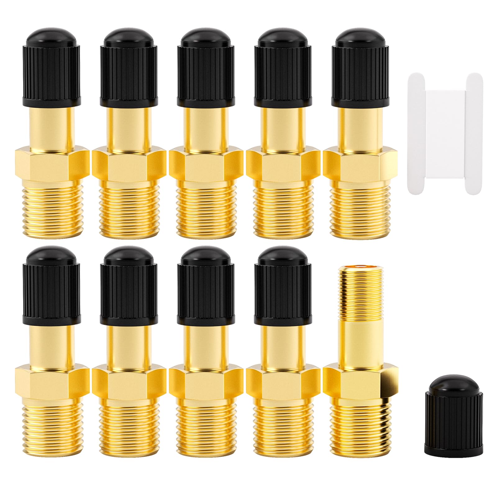 GASHER 10PCS 1/8" NPT Tank Valve Anti-Corrosion Brass Schrader Valve, Using with Air Compressor Tanks