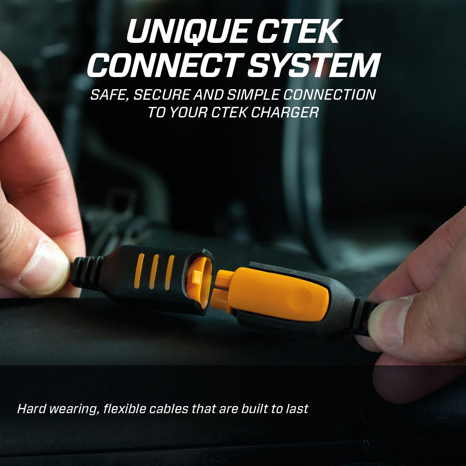 CTEK Bundle MXS 3.8 & CONNECT EYELET M6