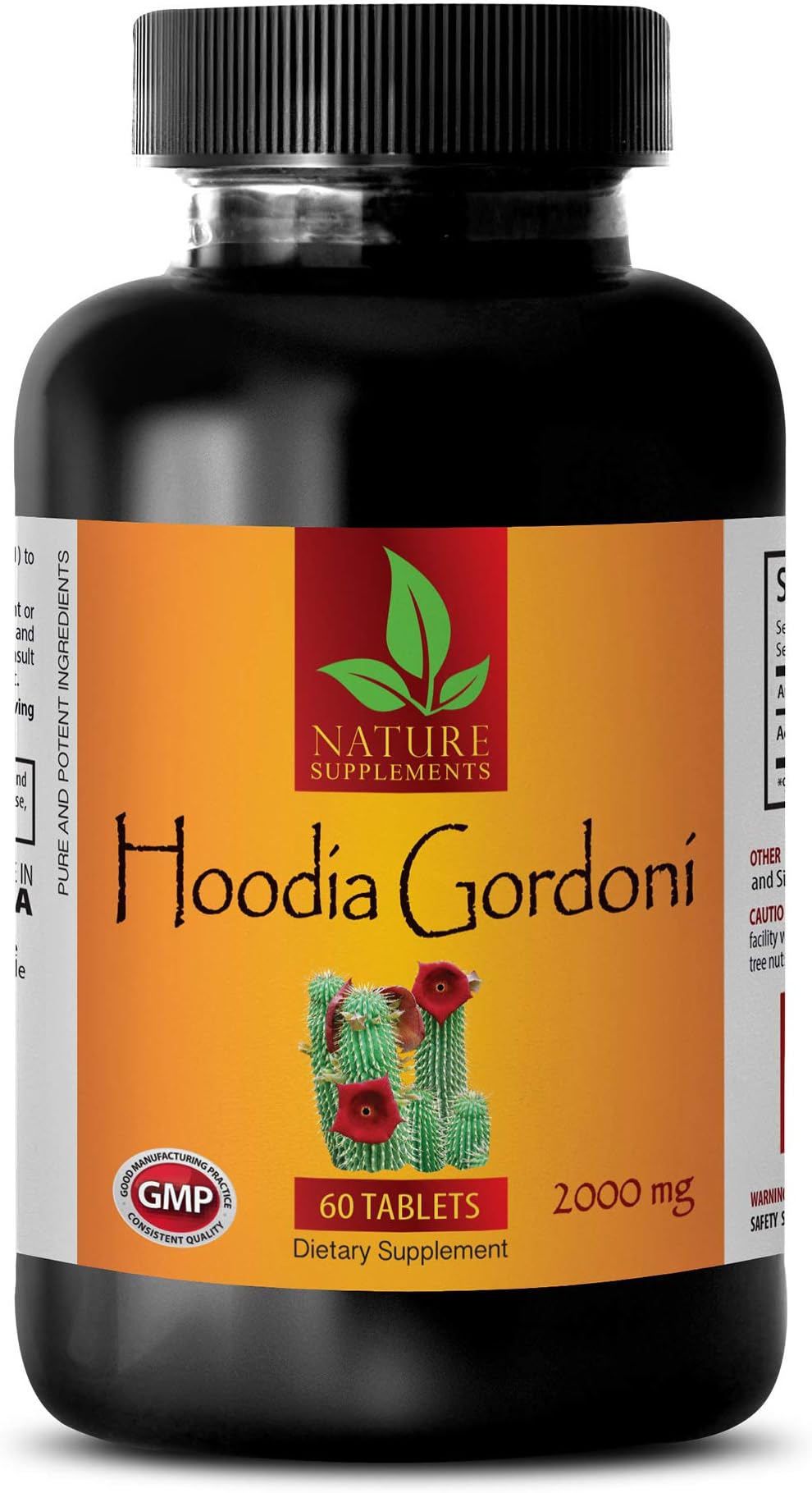 Weight Loss Without Exercise for Women - HOODIA GORDONI 2000 MG - Dietary Supplement - hoodia Supplement - 1 Bottle 60 Tablets