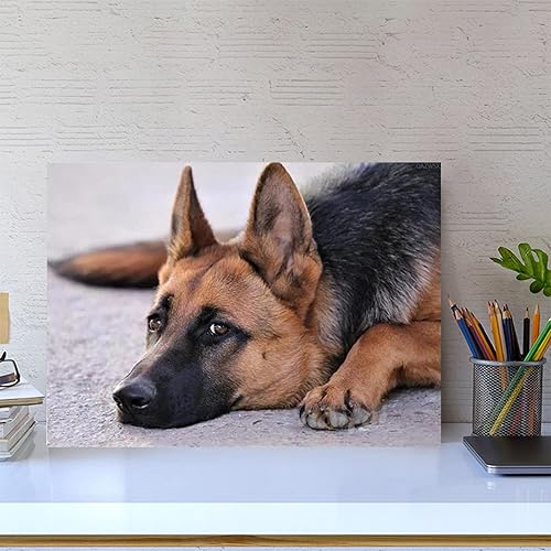 Miniatura 3 de Kits de pintura de diamantes 5D para adultos, taladro completo, perro, pastor alemán por números, kits de bordado de diamantes de imitación, regalos