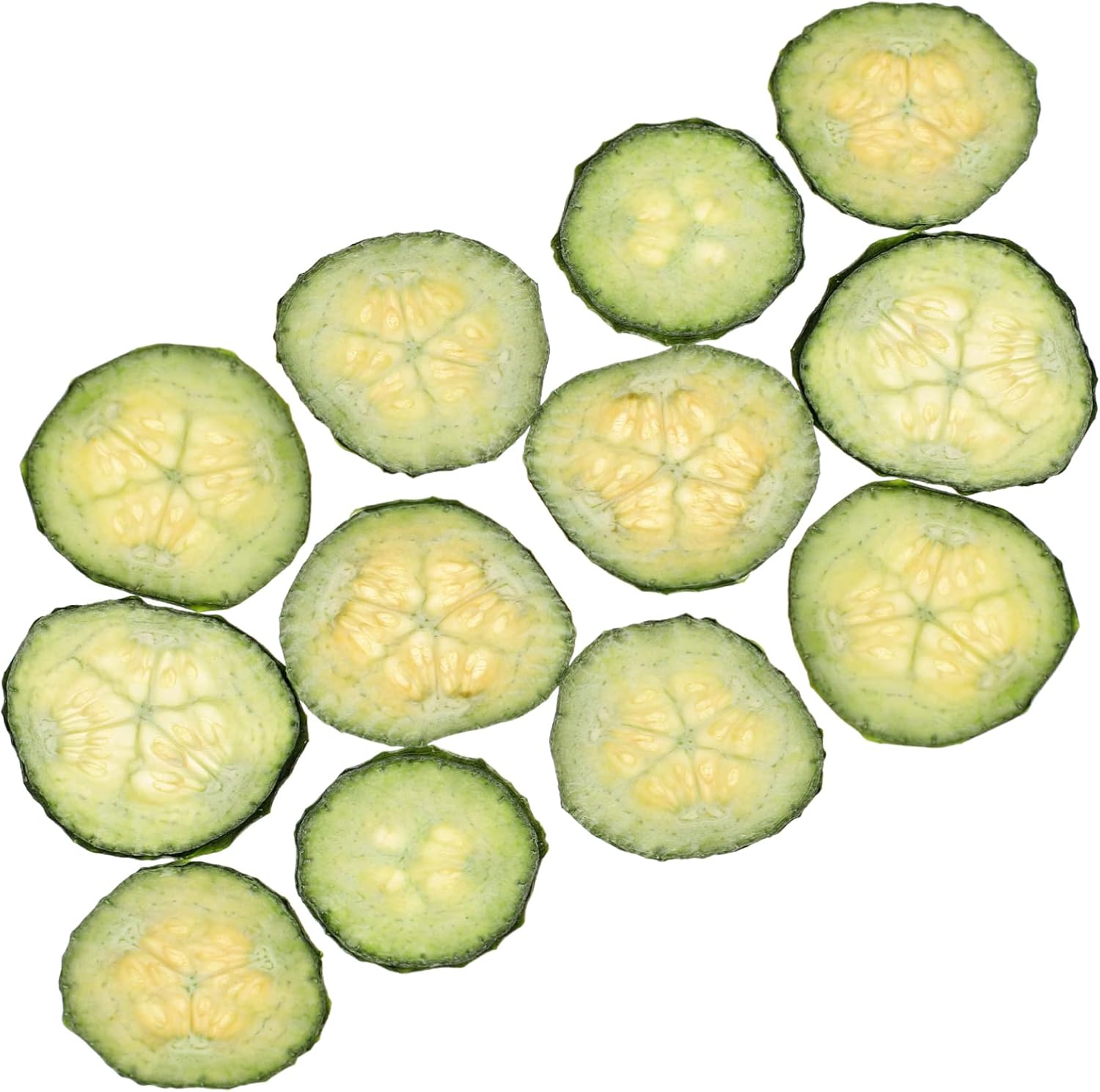 Cabilock 12pcs Dried Pressed Cucumber Slices for DIY Crafts Lightweight Handicrafts Supplies Safe Natural Resin Embellishments Photo Props for Creative Handmade Projects