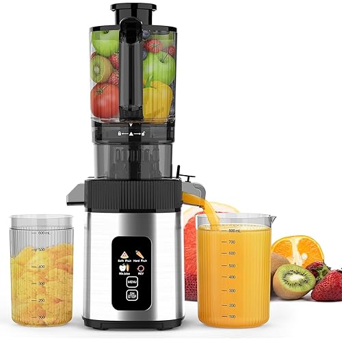 Slow Juicer Machine with 300W Pure Copper Motor, 4.35-Inch Wide Chute & Reverse Function, Stainless Steel Juicer for Family Daily Use