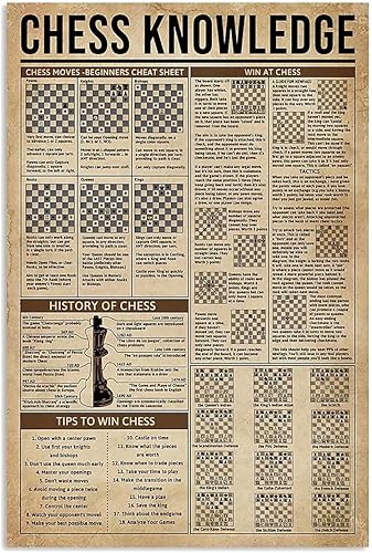 Miniatura 2 de JIUFOTK Guía de jugador de dardos de metal, carteles de estaño para decoración de pared, dardos para decoración de pared, dardos de conocimiento,