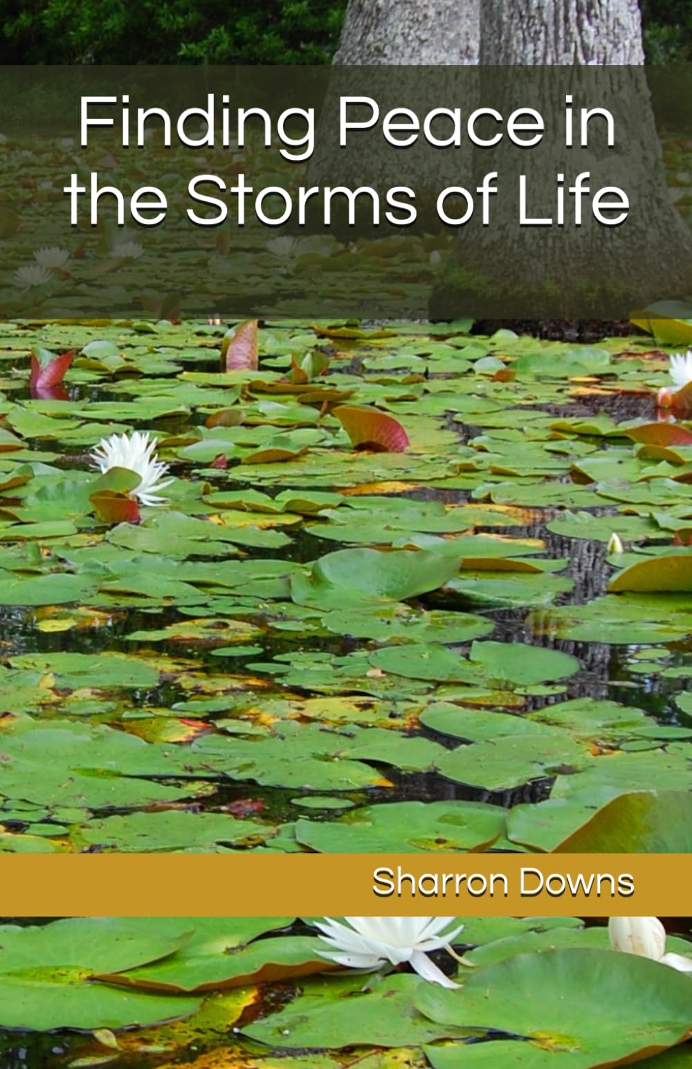 Finding Peace in the Storms of Life