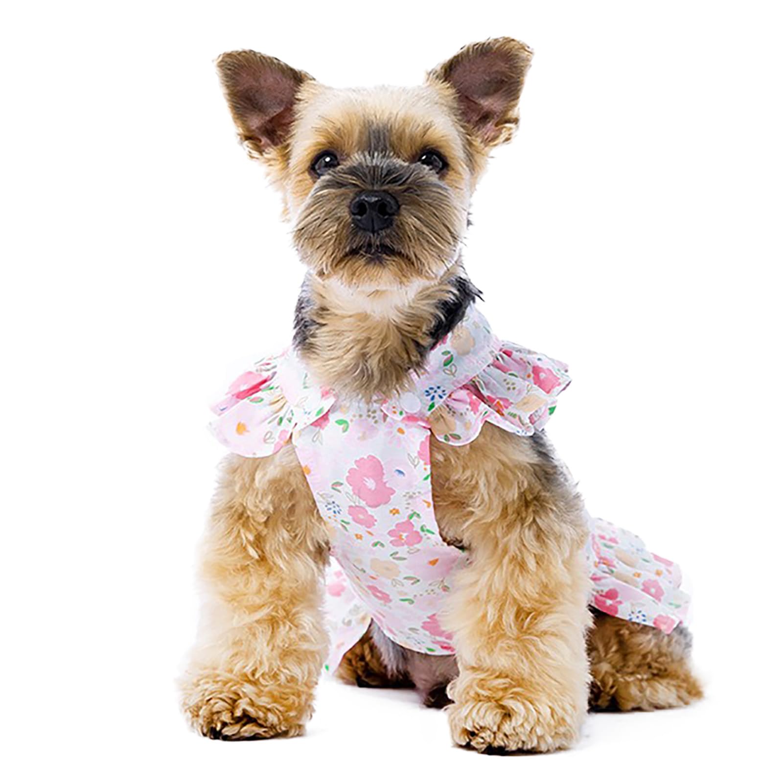 Robe fleurie pour chien pour les balades et fêtes d'été