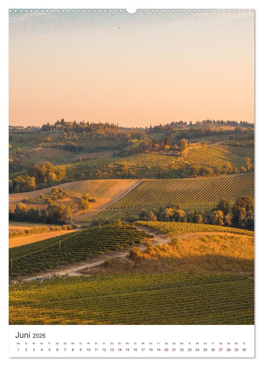 Toskana - Sonne, Wein und Kultur (hochwertiger Premium Wandkalender 2026 DIN A2 hoch), Kunstdruck in Hochglanz: Genießen Sie die atemberaubenden Bilder der Toskana. (CALVENDO Orte)