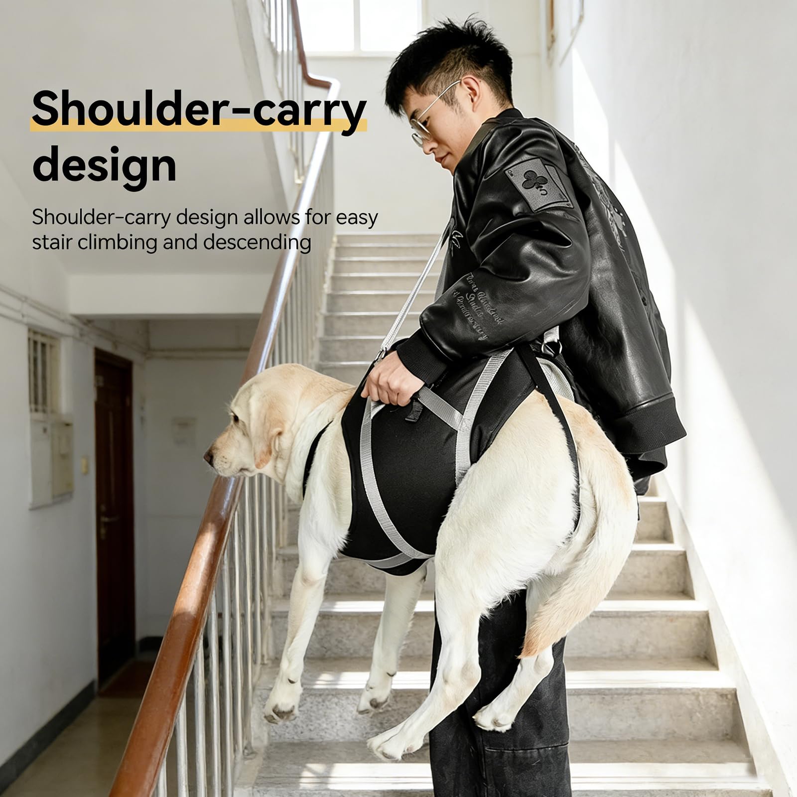 Harnais de Levage pour Chien de 20 à 40 kg, Harnais de rééducation avec poignées, Soutien Pattes Avant/arrière pour Chiens âgés, blessés et Post-opératoires