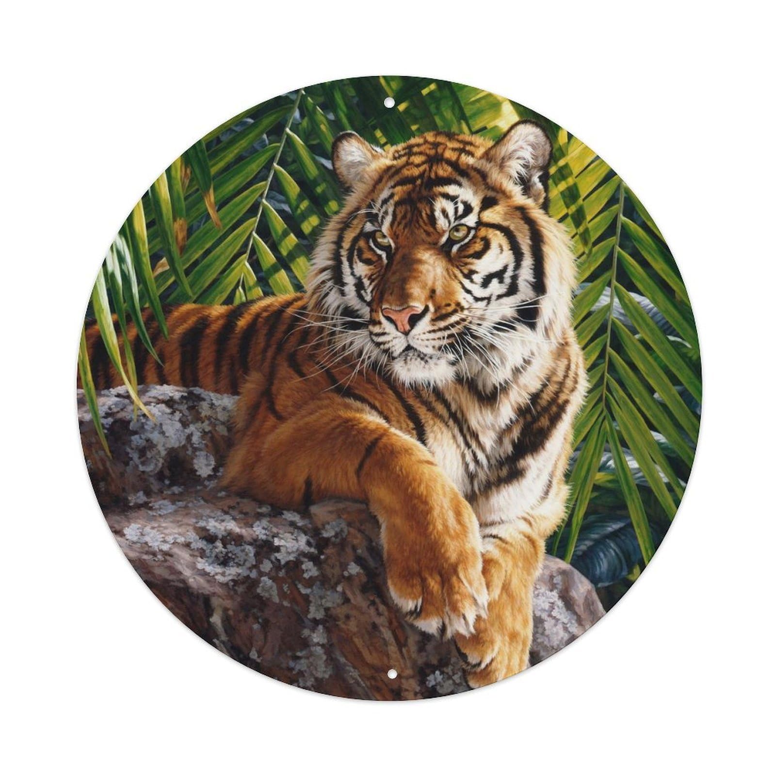 Animals Artwork Tiger Resting on Rock Vintage Metal Tin Sign Plaque Wall Decor for Cafe, Club Bar, Office, Garden Metal Poster 8x8Inch