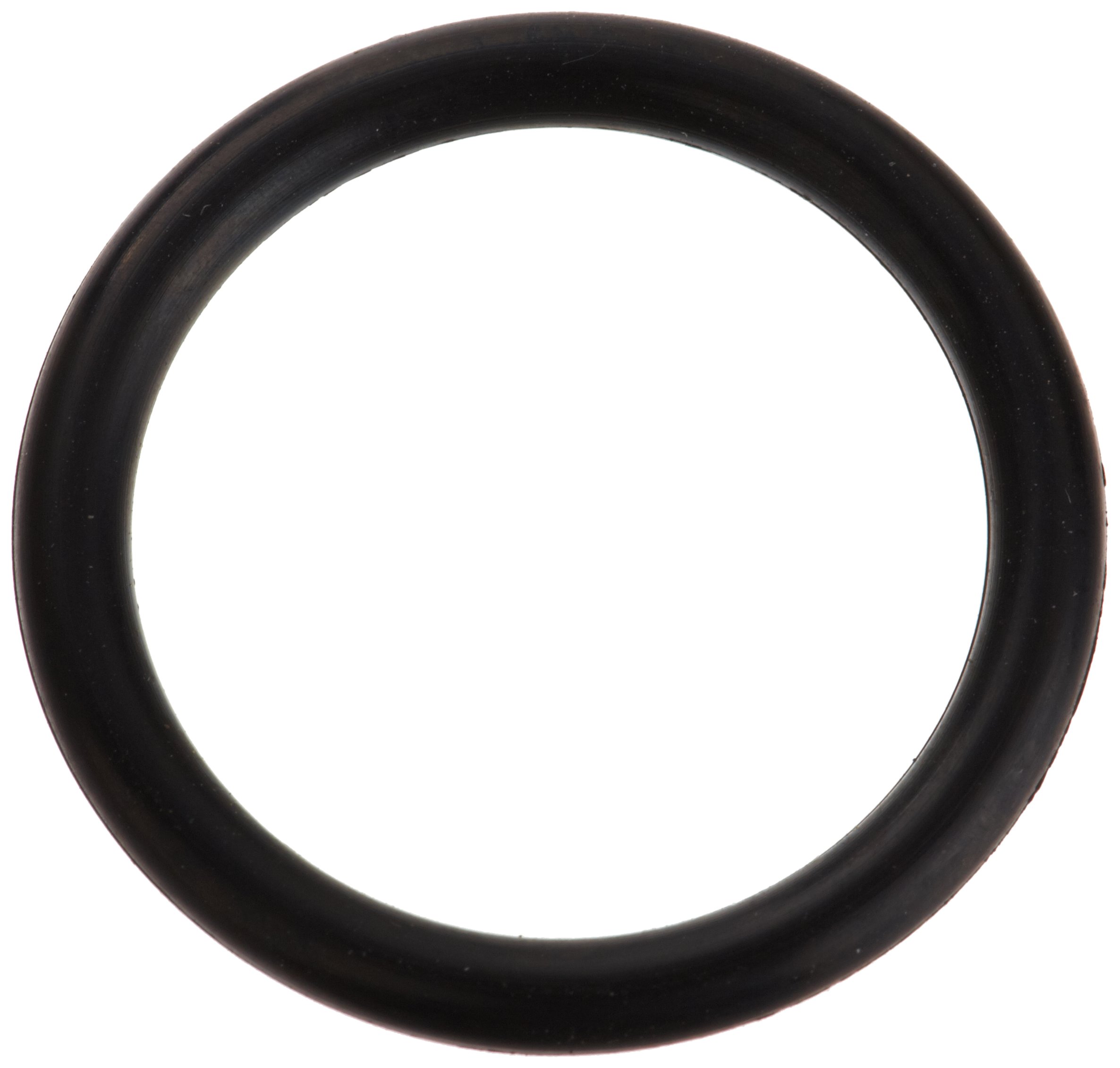 Amazon.com : Zodiac R0487100 2-116 Valve Shaft O-Ring