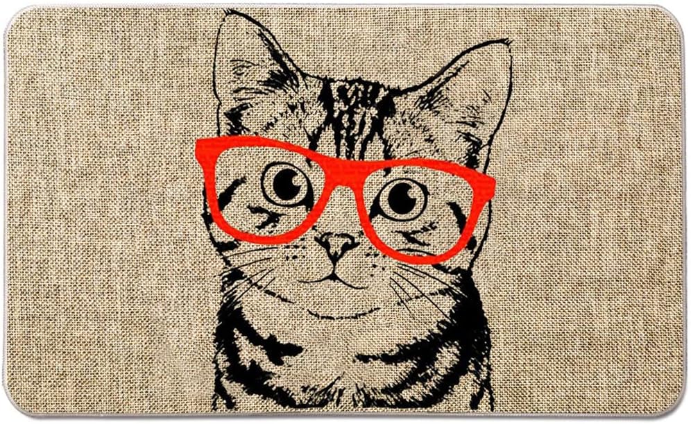 Welcome Mats for Front Door Cat Door Mats Funny Animal Kitty Doormat Home Floor Mat Non Slip Rubber Entrance Rug for Indoor Outdoor Housewarming Gifts Cat Decor 17x28 inch