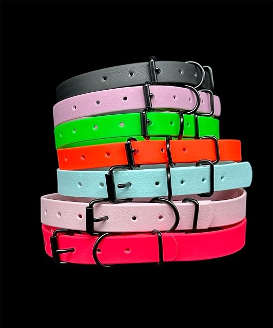 Foto 6 de 6 de Collar de perro Biothane impermeable