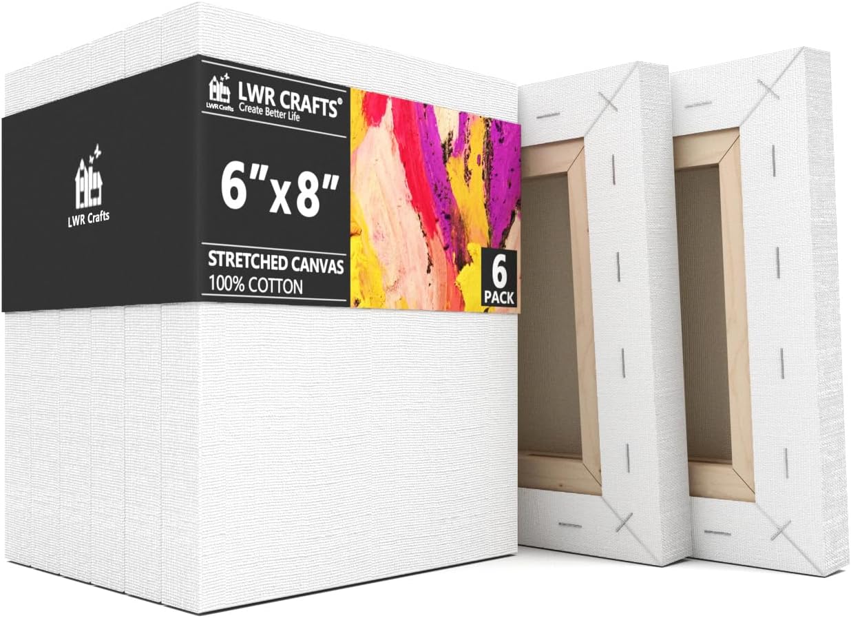 LWR CRAFTS Stretched Canvas 6" X 8" Pack of 6