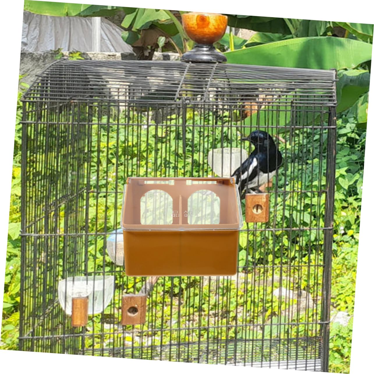 ARTIBETTER 3 pièces Boîte à Nourriture pour Oiseaux Distributeur Suspendu à Double Compartiment Plastique Résistant pour Cage Mangeoire Multifonction Pratique pour Pigeons et Petits Oiseaux