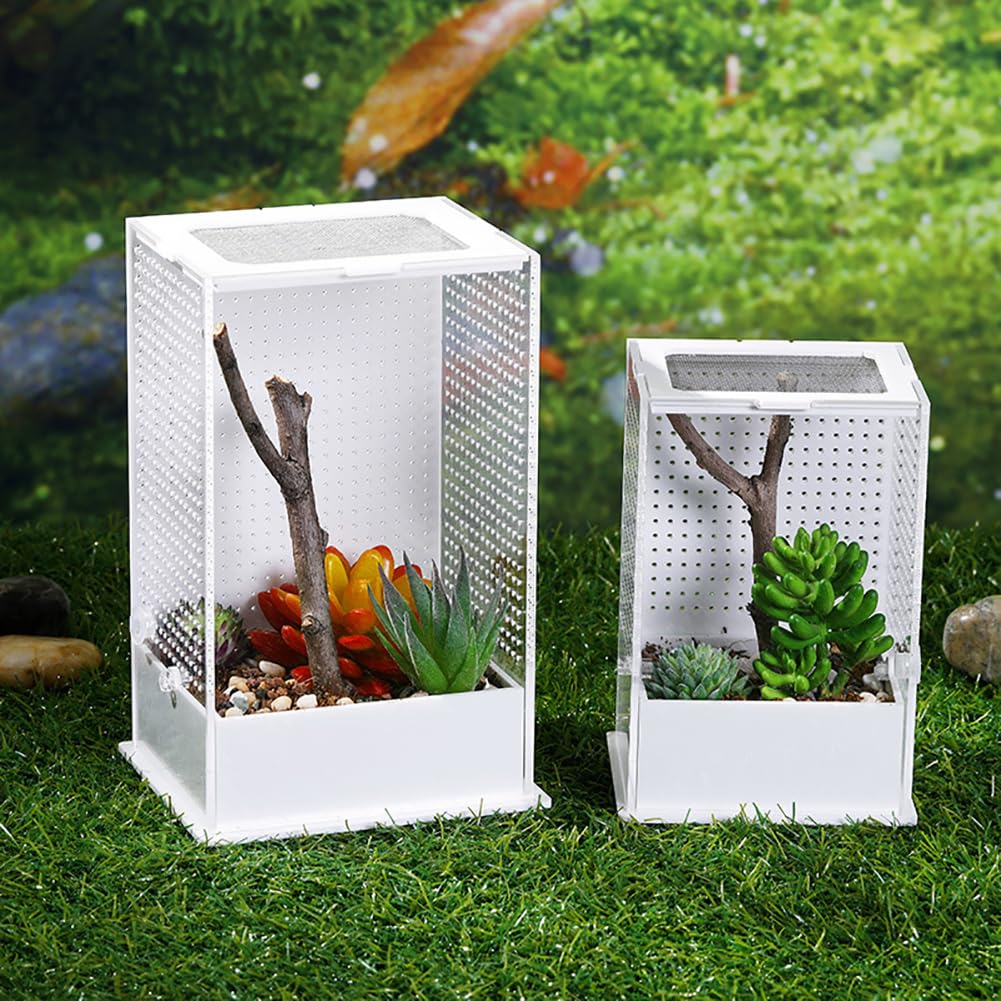 Akrylowe terrarium dla gadów, zbiornik dla gadów do wzrostu, mini terrarium do wzrostu gadów, siedlisko dla gadów dla zwierząt domowych, pudełko do żerowania dla gadów i płazów,S
