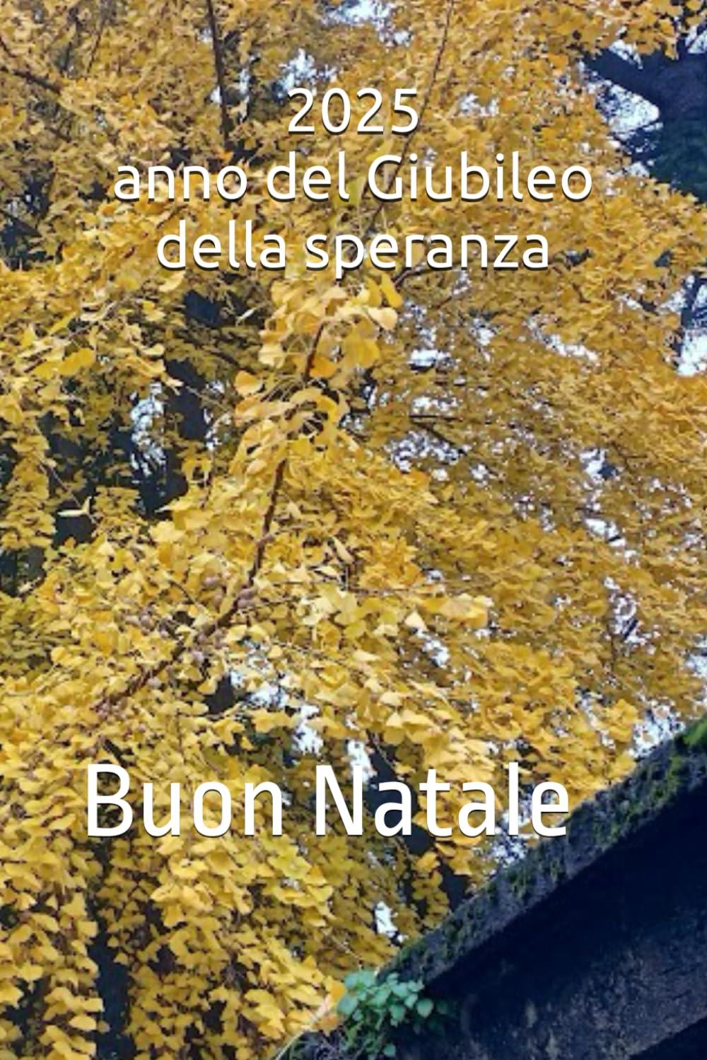 2025 anno del Giubileo della speranza: Buon Natale