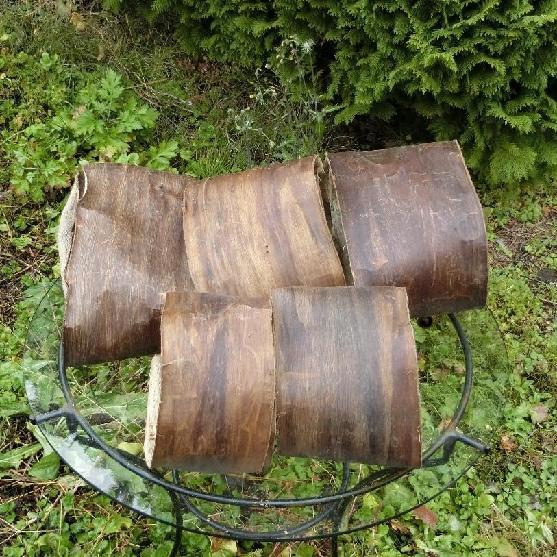 胡桃 くるみ クルミ 皮 樹皮 約2kg 練習用 みっくん 胡桃 くるみ