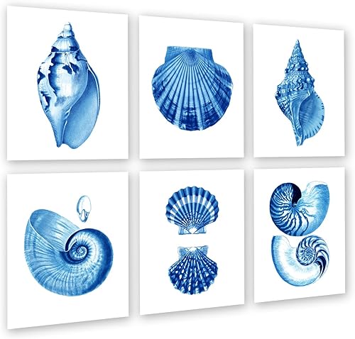 Gnosis Picture Archive Juego de 6 impresiones artísticas de decoración de conchas marinas azules sin marco, decoración costera de playa