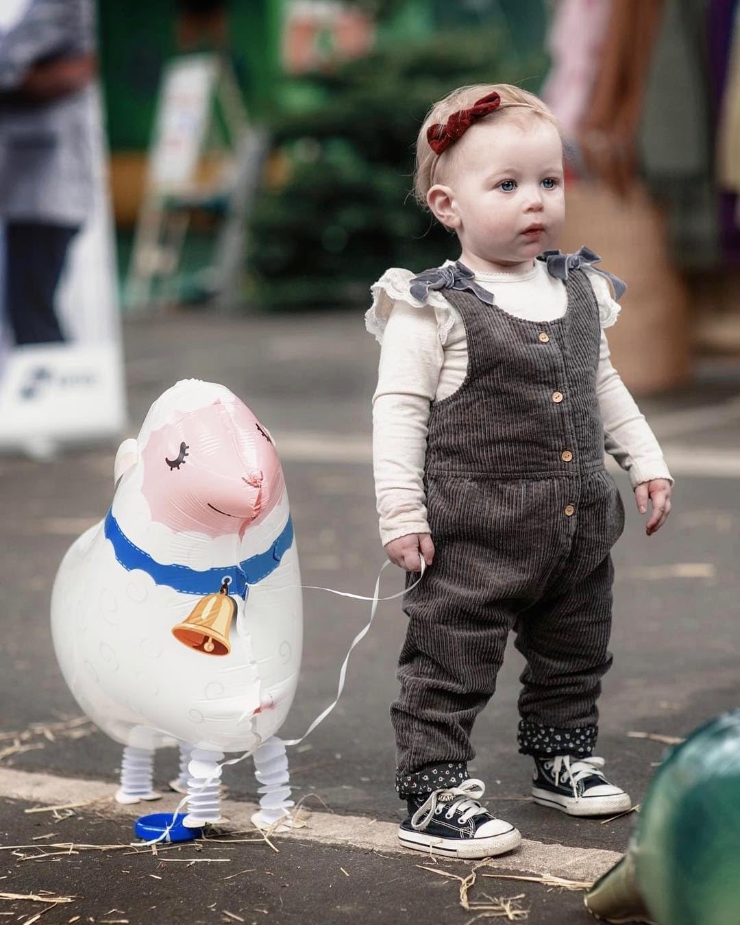 Walking Farm Animals Balloons Walking Animals Balloons For Kids Birthday Party BBQ Party Farm Theme Party Decorations Pack of 6