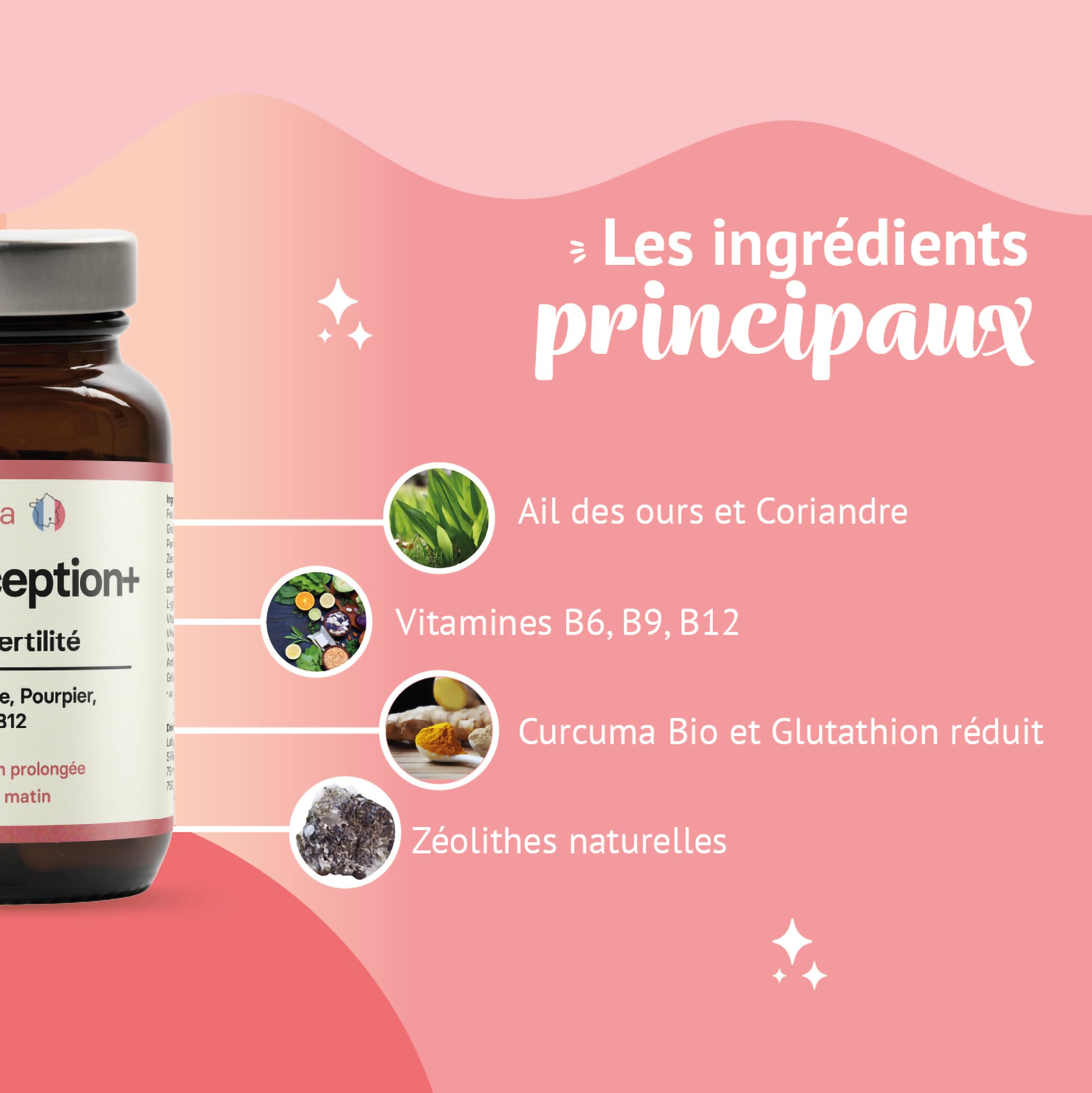 Conception + Complément Fertilité Femme | Détox des Perturbateurs Endocriniens | Glutathion, Curcuma, Antioxydants & Vitamines | Aide à Tomber Enceinte | 60 Gélules