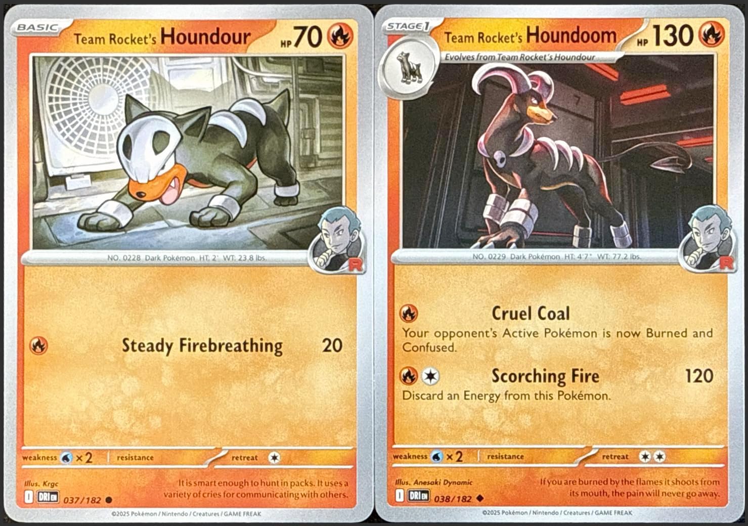 Team Rocket's Houndour 037/182 + Team Rocket's Houndoom 038/182 - Evolution Card Set - Destined Rivals - NM/M