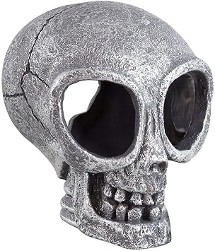 Underwater Treasures Alien Skull