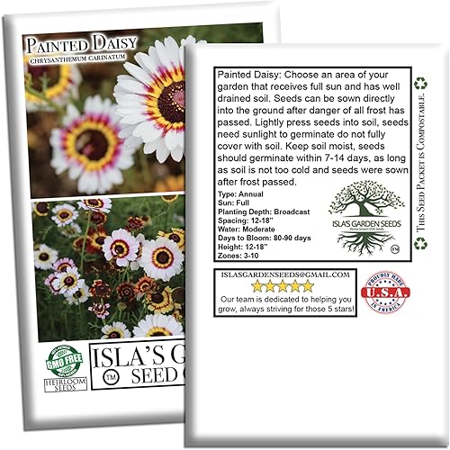 Miniatura 6 de Semillas de flores "Painted Daisy" para plantar, más de 500 semillas de flores por paquete, semillas de jardín de Isla (semillas de jardín de Isla),