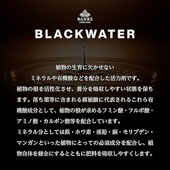 BLACKWATER®50ml*2０個 BANKS Collection Official Webshop