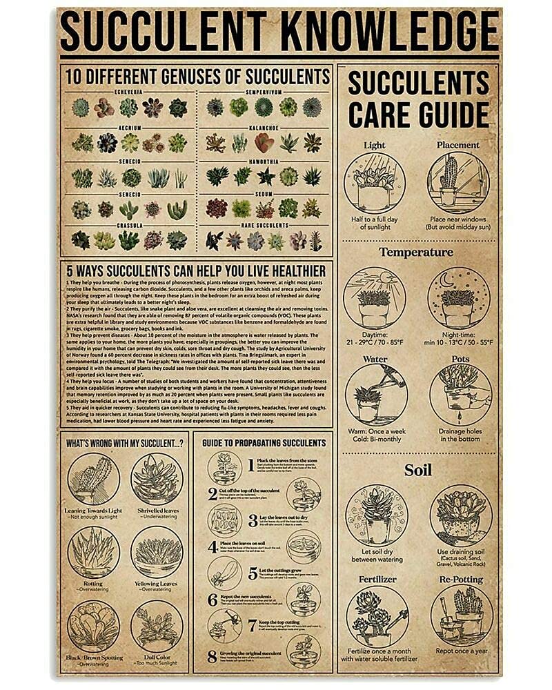 Succulent Knowledge Metal Tin Sign Care Guide Poster Plant Farm Garden Flower Shop Club Wall Decoration Plaque 8x12 Inches