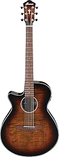 Ibanez Left-Handed Acoustic-Electric Guitar