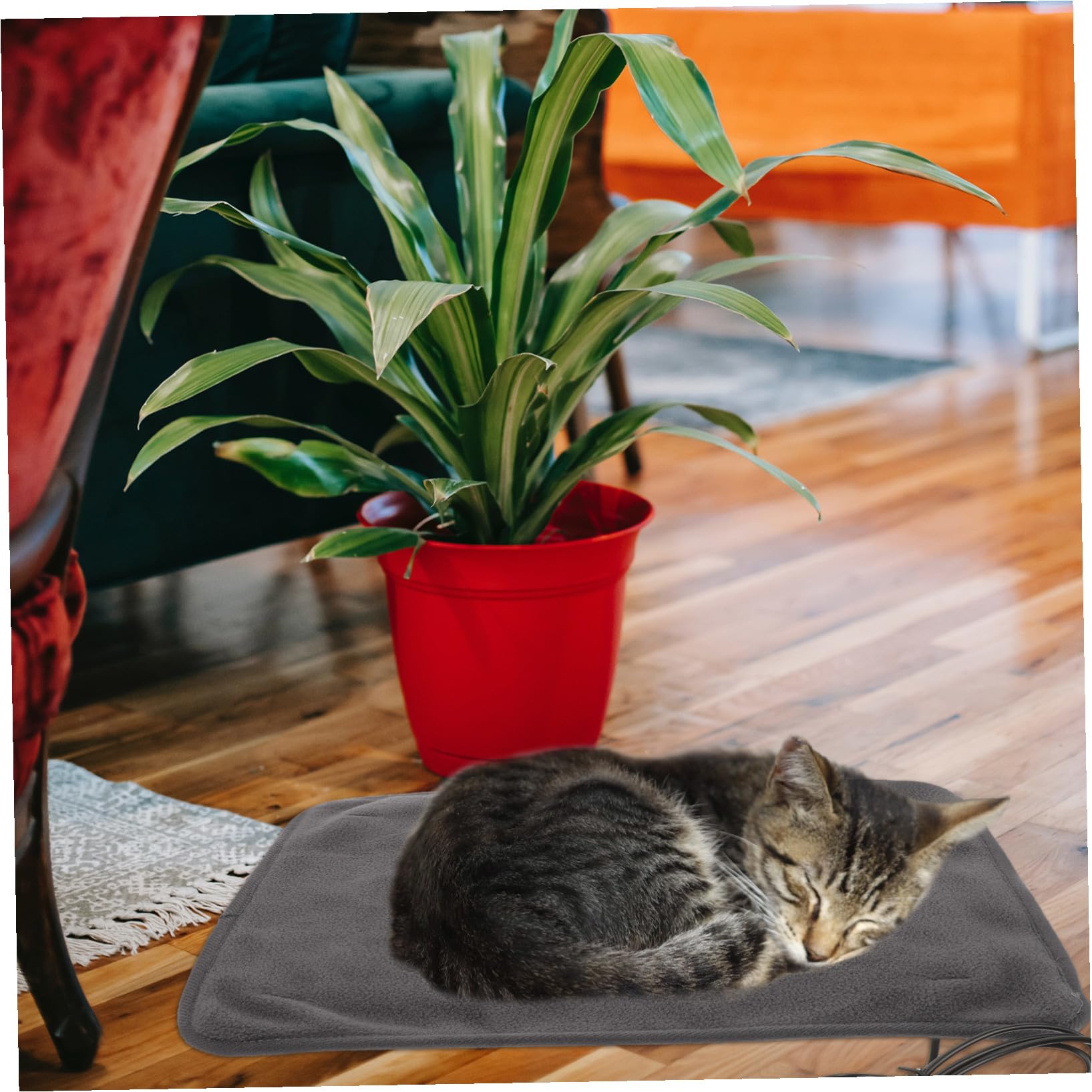 Tapis Chauffant Coussin Thermique Réglable USB pour Animaux pour Chat