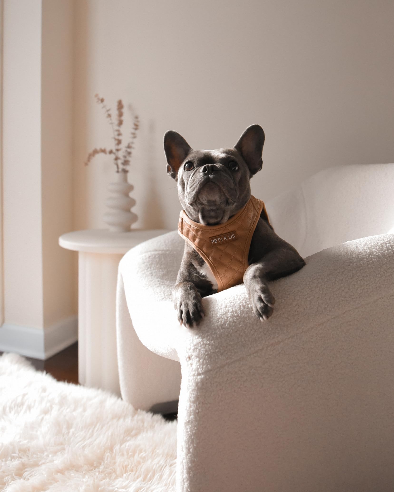 Step in Hundegeschirr, leicht, atmungsaktiv, Netzgewebe, weich gepolstert, veganes Leder, erstickungsfrei, ausbruchsicheres Geschirr für kleine, mittelgroße Hunde, Hellbraun, Größe M
