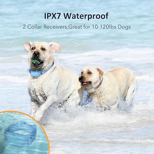 Miniatura 9 de PATPET Collar de choque para perros pequeños, medianos y grandes (10-90 libras), 2 paquetes, recargable IPX7 impermeable, collar de entrenamiento
